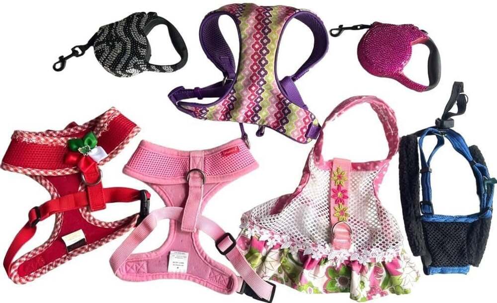 Puppia Dog Harness Lot Size M Retractable Leashes and Vests